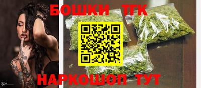 индика Дубна