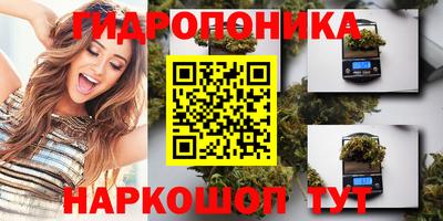 индика Дубна