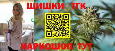 индика Жуковский